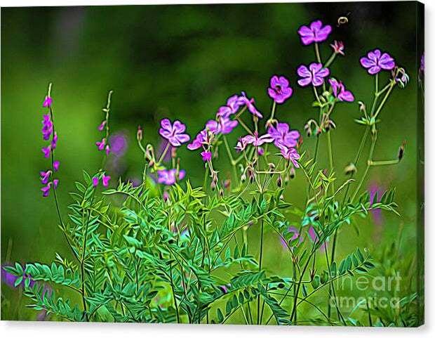 Wildflower Melody