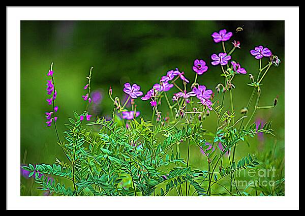 Wildflower Melody