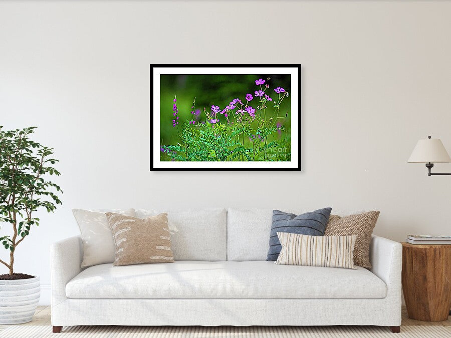 Wildflower Melody