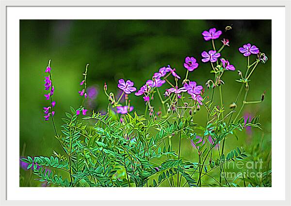 Wildflower Melody