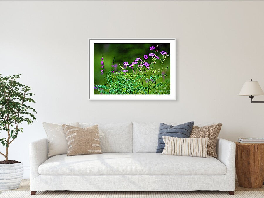 Wildflower Melody